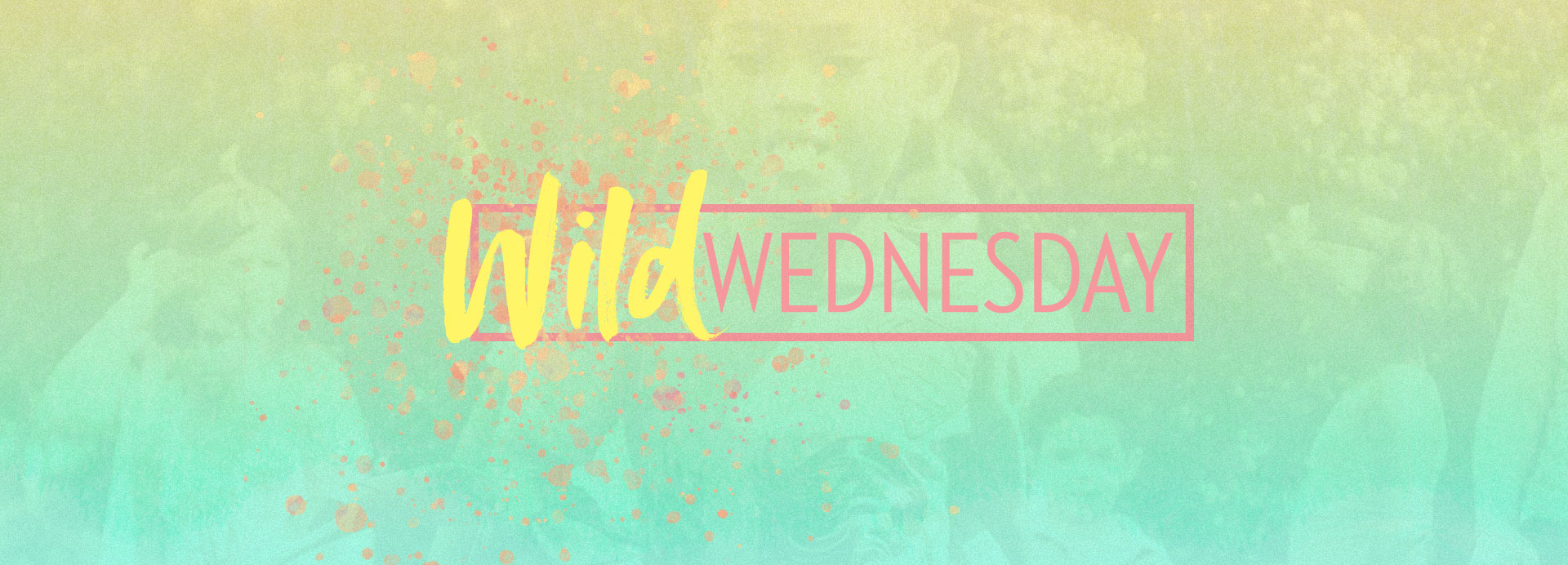 2020 - Wild Wednesdays  