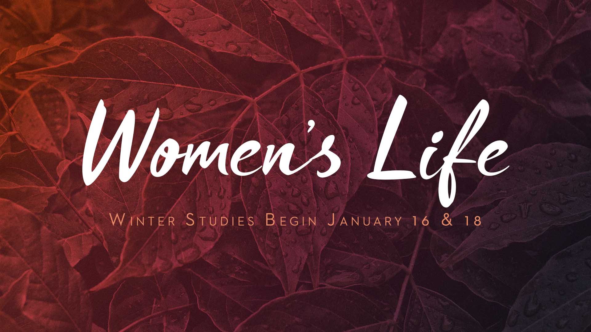 Women's Life :: Childcare for Winter 2018